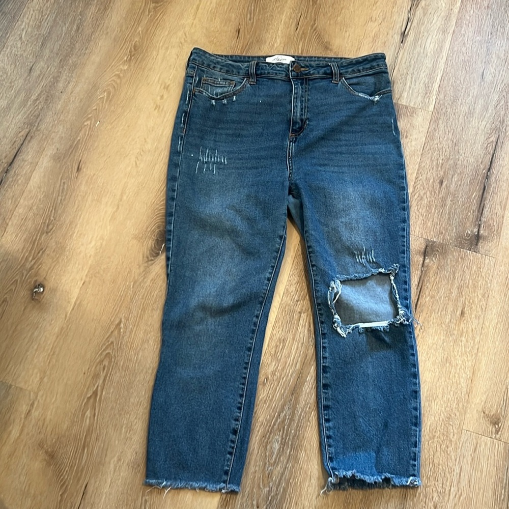 Carly Jean Los Angeles Topanga Distressed Drew DK Ankle  Jeans Size 13